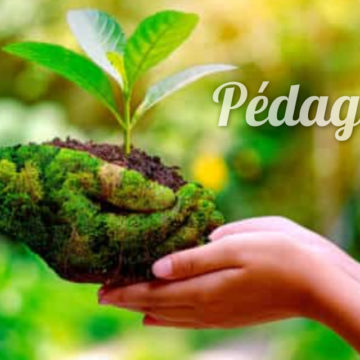 Pédagogie