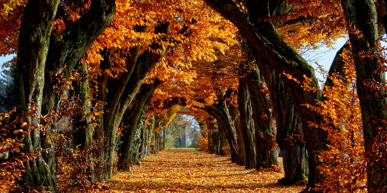 Octobre Octobre